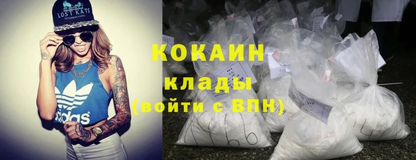 ПСИЛОЦИБИНОВЫЕ ГРИБЫ Гусев