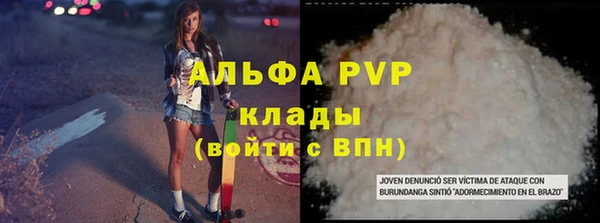 ПСИЛОЦИБИНОВЫЕ ГРИБЫ Гусев