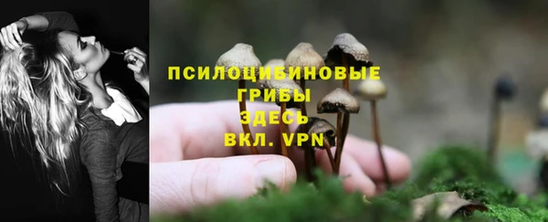ПСИЛОЦИБИНОВЫЕ ГРИБЫ Гусиноозёрск