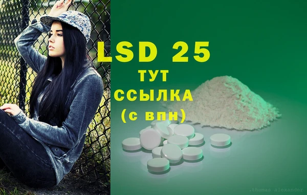 ПСИЛОЦИБИНОВЫЕ ГРИБЫ Гусиноозёрск
