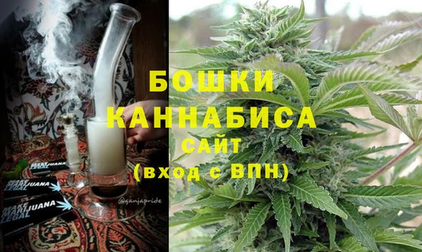 ПСИЛОЦИБИНОВЫЕ ГРИБЫ Гусиноозёрск