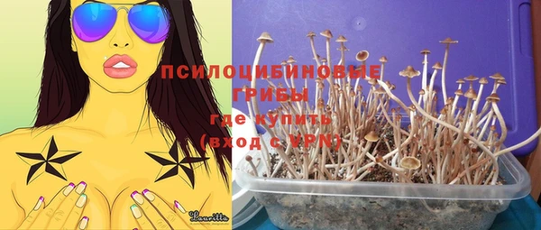 метамфетамин Гусь-Хрустальный