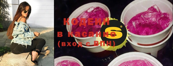 ПСИЛОЦИБИНОВЫЕ ГРИБЫ Гусев