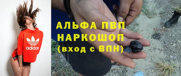 ПСИЛОЦИБИНОВЫЕ ГРИБЫ Гусиноозёрск
