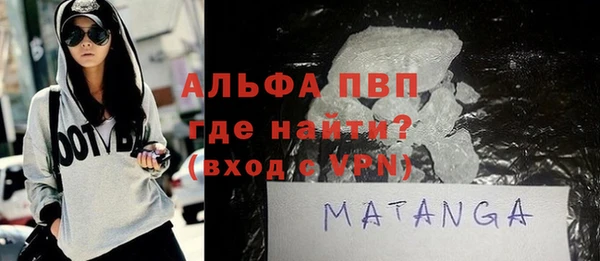 ПСИЛОЦИБИНОВЫЕ ГРИБЫ Гусев