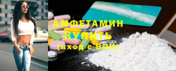ПСИЛОЦИБИНОВЫЕ ГРИБЫ Гусев