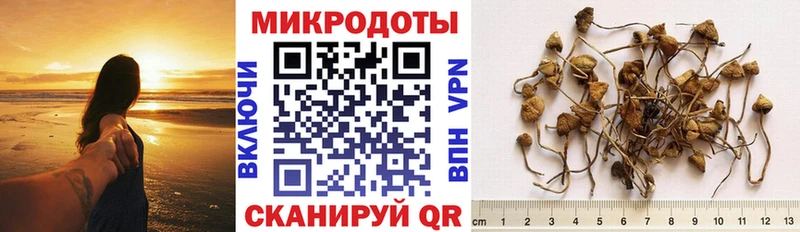 Псилоцибиновые грибы GOLDEN TEACHER  Купить закладки  Староминская 